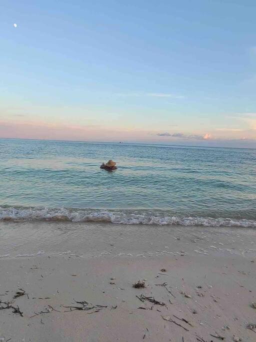 Your Happy Place On The Beach! Key Colony Beach 외부 사진